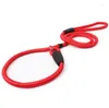 Hondenkragen Nylon Rope Whisperer Cesar Millan Style Slip training Leibele leiding en kraag roodblauwe zwarte kleuren SN772