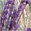 Dekorativa blommor kransar 70 st/35 cm bevarad f￤rsk lavendel DIY Eternelle Flore Wedding Favor Flower Road Home Decor.bevarad DHXW6