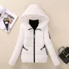 Women's Down Parkas Short Hooded Cotton Coats Womens Winter Jackets Plus Size 5XL Coat Korean Student Padded Jacket Tops 230107