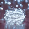 سلاسل 2pcs خرافية عيد الميلاد USB Silver Filgree LED LED أضواء الأضواء للمنزل جارلاند حديقة ديكور الإضاءة العطلة في الهواء الطلق
