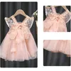 Flickans klänningar Baby Girl's Dress Summer Pink Cute Suschers Wings Wings europeisk amerikansk stil Elegant Princess Mesh Dress Birthday Party Clothes T230106