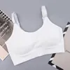 Bustiers Corsets Sports Yoga Bra Women Seamless 패딩 피트니스 러닝 체육관 속옷 컵 밴드 탑을위한 스포츠