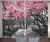 Coleta de cortina NYC Decor Blossoms in Central Park Cherry Bloom Trees Forest Florest Spring Venascape quarto quarto quarto