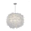 Deckenleuchten Nordic Feather Kronleuchter Moderne Wohnzimmer Schlafzimmer Lampe Warme Anhänger Für Kinder Prinzessin Esszimmer