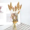 Fiori decorativi fiore secco bouquet artificiale lagurus ovatus decorazione per casa el wedding scie999
