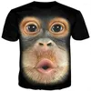 Men's T Shirts 3D Short Sleeve T-shirt Funny Shirt Chest Muscle Hair Print Monkey Face Summer Y201201