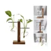 Plantadores vasos de estilos n￳rdicos vasos de plantas hidrop￴nicas de terr￡rio de terr￡rio vintage vaso vaso de madeira transparente moldura de vidro de vidro casa bonsai dhahp