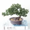 Decoratieve bloemen kransen 1 -koppige simulatie grote gastvrije dennenbonsai ornamenten bloembal gras potten boom home tuin decoratie arti