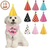 Appareils pour chiens Universal Party Chaps Puppy Supplies Birthday Scarf Breasping Sodent sans set de bande de animal de compagnie