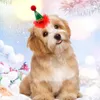 Abbigliamento per cani Cappello per animali domestici Berretti per cani leggeri Copricapo regolabile Maglia casual Natale