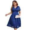 Plus Size Dresses Women's Elegant Lace Floral Swing Short Sleeve Cocktail Party Wedding Midi Dress V-Neckline Bridesmaid Curvy