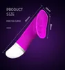 Sex toy vibrator Electric variable frequency vibrating and swinging vaginal licker female masturbator 30 poisonous dragon drill