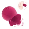 Vibromasseur jouet sexuel Rose sucer langue lécher vibrateurs Clitoris mamelon ventouse pour femmes Clitoris stimulateur Oral chatte jouets produit