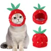 Hondenkleding unieke huisdierpet grote aardbei verschijning aankleden milieuvriendelijke kittenhonden cosplay hoed