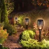 Lampada decorativa da giardino per esterni a LED solare per l'illuminazione del paesaggio decorativo Luce resistente alle intemperie controllata