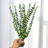 Decorative Flowers & Wreaths 10Pcs Natural Eucalyptus Leaves Dry Plants Flower Material For Wedding Wall Home Decoration Greenery Plant Leaf