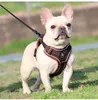 Dog Collars Puppy Harness Collar調整可能な反射銃口通気性ベストリードリードリーシュソフトポリエステル小さなミディアムペット