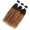 Peruvian Indian Kinky Curly Double Wefts 1B/30 Ombre Color Brazilian 100% Human Virgin Hair 10-34inch 3 Bundles