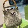 Designer Drawstring Shoulder Bags Diana Bamboo Mini Handväskor Fashion Tote Bag For Womens Luxurys läderhinkväskor Mens Crossbody 096