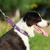 개 칼라 Winhye Pet Collar P Neoprene 패딩 하프 초크 훈련 대형 중간 소형 보너스 추적기 태그 기능 YC1852