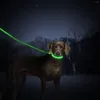 Hundhalsar som säljer designkväll LED Safety Pet Products Justerbar krage och koppeluppsättning med fabriksdirektförsäljningspris