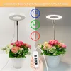 Grow Lights Angel Ring Fleshy Fill Light USB Coloring Full Spectrum LEDフラワーボンサイ植物の成長