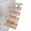 Andere vogels leveren papegaai speelgoed hamster ladder training lagen houten klimtrap trappen cadeau kooi accessoires