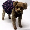 Abbigliamento per cani Abito estivo in jeans Gonna di jeans Abiti in jeans Abbigliamento per cuccioli di gatto Piccolo costume Pet Yorkie Poodle Outfit