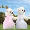 Abbigliamento per cani Abito da sposa per gatti Vestiti estivi per animali domestici Gonna Abiti da principessa Yorkshire Pomerania Shih Tzu Abbigliamento Schnauzer maltese