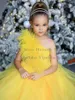 Girl Dresses Girl's Birthday Party One Shoulder Pleat Feather First Holy Communion Gowns Purple Yellow Flower Dress