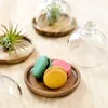 Assiettes ménage petit Dessert assiette en bois avec couvercle en verre gâteau Fruits plateau herbe poussière saleté prévention cuisine accessoire