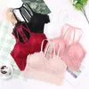 Camisoles & Tanks Lace Sexy Bra Women Beauty Back Underwear Ladies Cotton Push Up Lingerie Strapless Bras