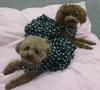 Dog Apparel Summer Jean Dress Denim Skirt Jeans Dresses Cat Puppy Clothing Small Costume Pet Yorkie Poodle Outfit