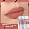 Lipgloss Schlamm Langlebiger samtiger matt flüssiger Lippenstifte One Street Lippen Make -up -Kits wasserdichte Fischschutzflecken 3pcs