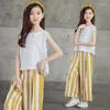 Conjuntos de ropa Traje de verano para niñas 2023 Niños coreanos Chifón pantalones de patas ancho