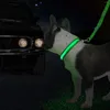 Collari per cani che vendono collare e guinzaglio regolabili per prodotti per animali domestici di sicurezza LED Night Design con prezzo di vendita diretto in fabbrica