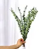 Decorative Flowers & Wreaths 10Pcs Natural Eucalyptus Leaves Dry Plants Flower Material For Wedding Wall Home Decoration Greenery Plant Leaf