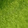 Fiori decorativi Ghirlande Giardino fatato Erba verde Decorazione Micro Paesaggio Decor Simulazione fai da te Piante Artificiale Falso Muschio Prato 30X30
