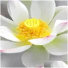 Wallpapers lotus karper vloer muurschildering hd bloemen waterdichte badkamer keuken pvc muurpapier self -adhesive sticker schilderij drop levering dhvvm