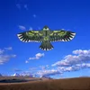 1,2 m Flat Eagle Kite Kinder fliegende Vogel Kites Windsock Outdoor Gartentuchspielzeug für Kinder Geschenk 0110