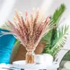 Decoratieve bloemen Pampa Bouquet Natuurlijke gedroogde bloem boho Home Decor voor bruiloft centerpieces Tafels PAMPAS Gras Decoratie Trockenblumen