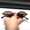 Lunettes de soleil Vazrobe Ovale Hommes Femmes Petite Pierre Brun Lunettes de Soleil Pour Homme Vintage Étroit Rétro Nuances Anti Scratch