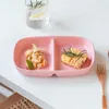 Piatti Scatole da pranzo giapponesi A prova di perdite 2 Griglia con coperchio Camping Picnic Contenitore portatile in plastica per frutta Bento Box per bambini