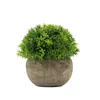 Decorative Flowers & Wreaths Artificial Plant Simulation Plastic Bonsai Potted Plants Are Used For Wedding Home Office Decoration