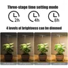 屋内植物のための栽培ライトエンジェルリングUSBダム可能なフルスペクトルハロー植物ランプタイマーフラワーポットシードライト
