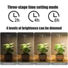 성장 조명 천사 반지 실내 식물을위한 성장하는 천사 반지 USB Dimmable Full Spectrum Halo Plant Lamp 타이머 꽃 화분에 씨앗 빛