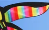 Высококачественные новые игрушки Rainbow Bird Bird Kites с линией ручки Нейлон Good Flying 0110