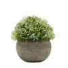 Decorative Flowers & Wreaths Artificial Plant Simulation Plastic Bonsai Potted Plants Are Used For Wedding Home Office Decoration