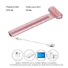 Airbrush Tattoo Supplies EMS Microcurrent Face Lift Skin Tightening Device Red Light Therapy Anti aging Wrinkle Neck Eye Massagers Skincare Tools 230110