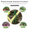 50PCSストロベリー植栽フォークグリーンストロンフィクサ装置スイカのつるプレスデバイスガーデンプラント固定器具クランプクリップ